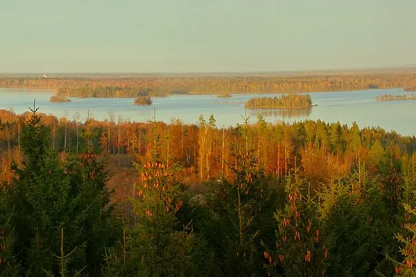 Höstvy över sjön Åsnen med skogsklädda öar i kvällssol
