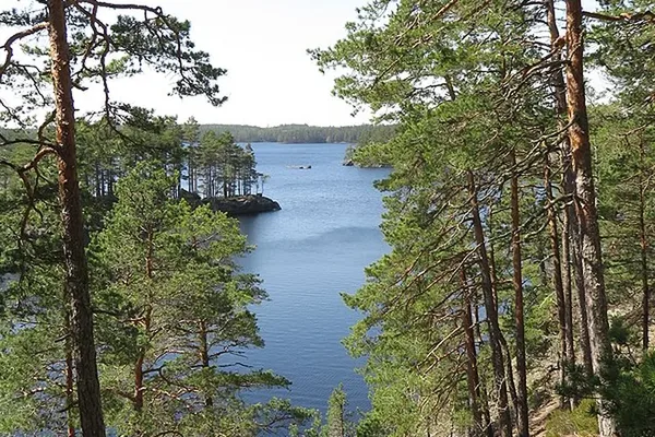Sjö omgiven av tallskog sedd från höjd i Bergslagen