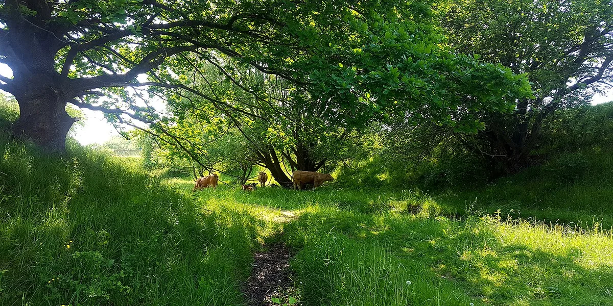 Cykelleden Skåne - Kristianstad-Ängelholm
