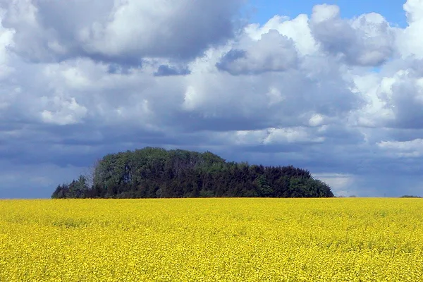 Vy över Dalby medeltidskyrka på sträckan genom Skåne