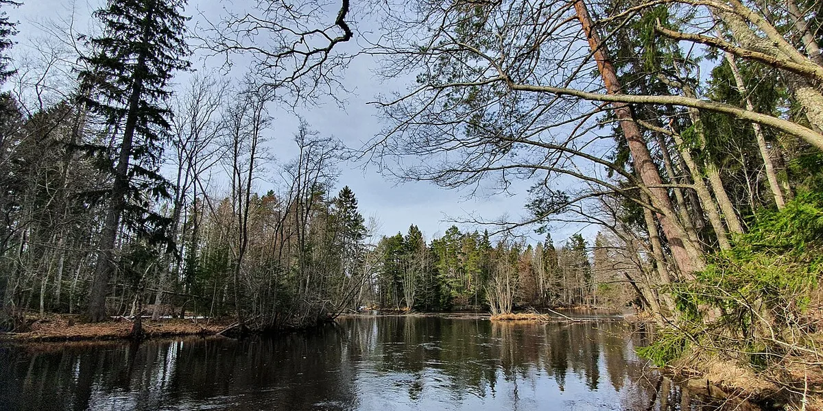 Cykling i Uppland