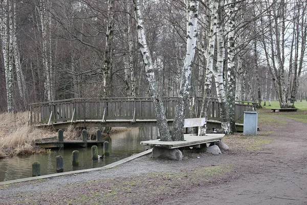 Träbro över å i björkdunge, tidig vår med kala träd
