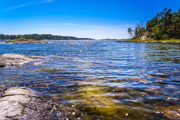 Solglittrande skärgårdsvatten med klippor och barrskog