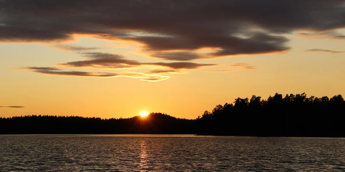 Solnedgång över sjö med siluett av barrskog i horisonten