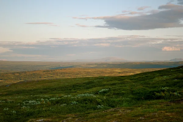 Vidsträckt fjällhed med låg vegetation och fjäll i horisonten