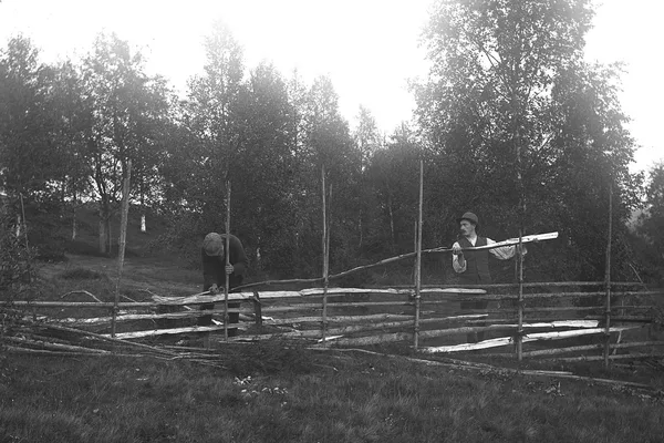 Svartvit bild av två män som bygger gärdesgård i björkskog